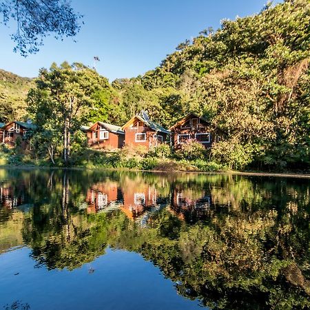Suenos Del Bosque Lodge San Gerardo de Dota Exterior foto