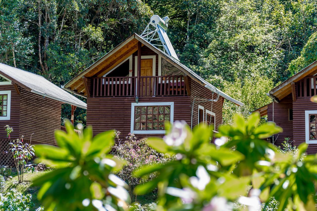 Suenos Del Bosque Lodge San Gerardo de Dota Exterior foto