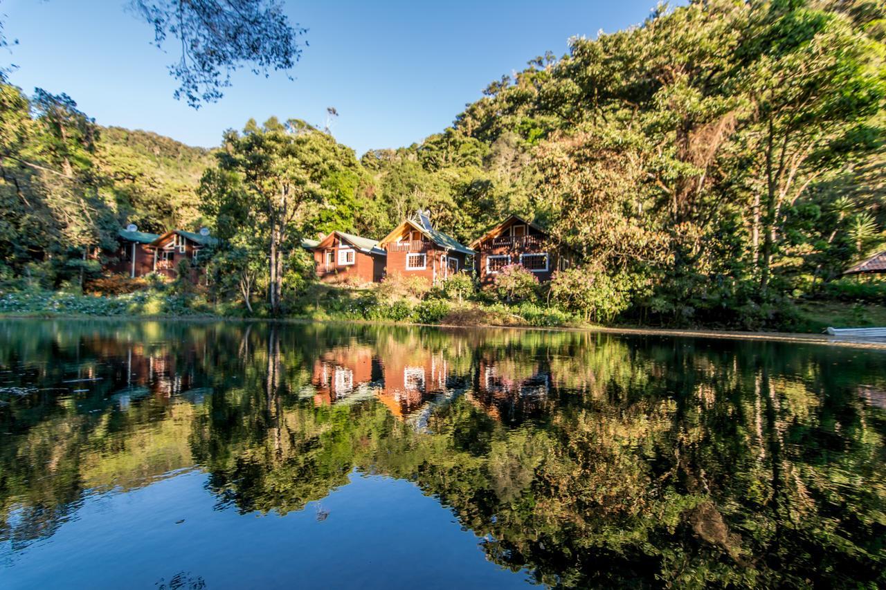 Suenos Del Bosque Lodge San Gerardo de Dota Exterior foto